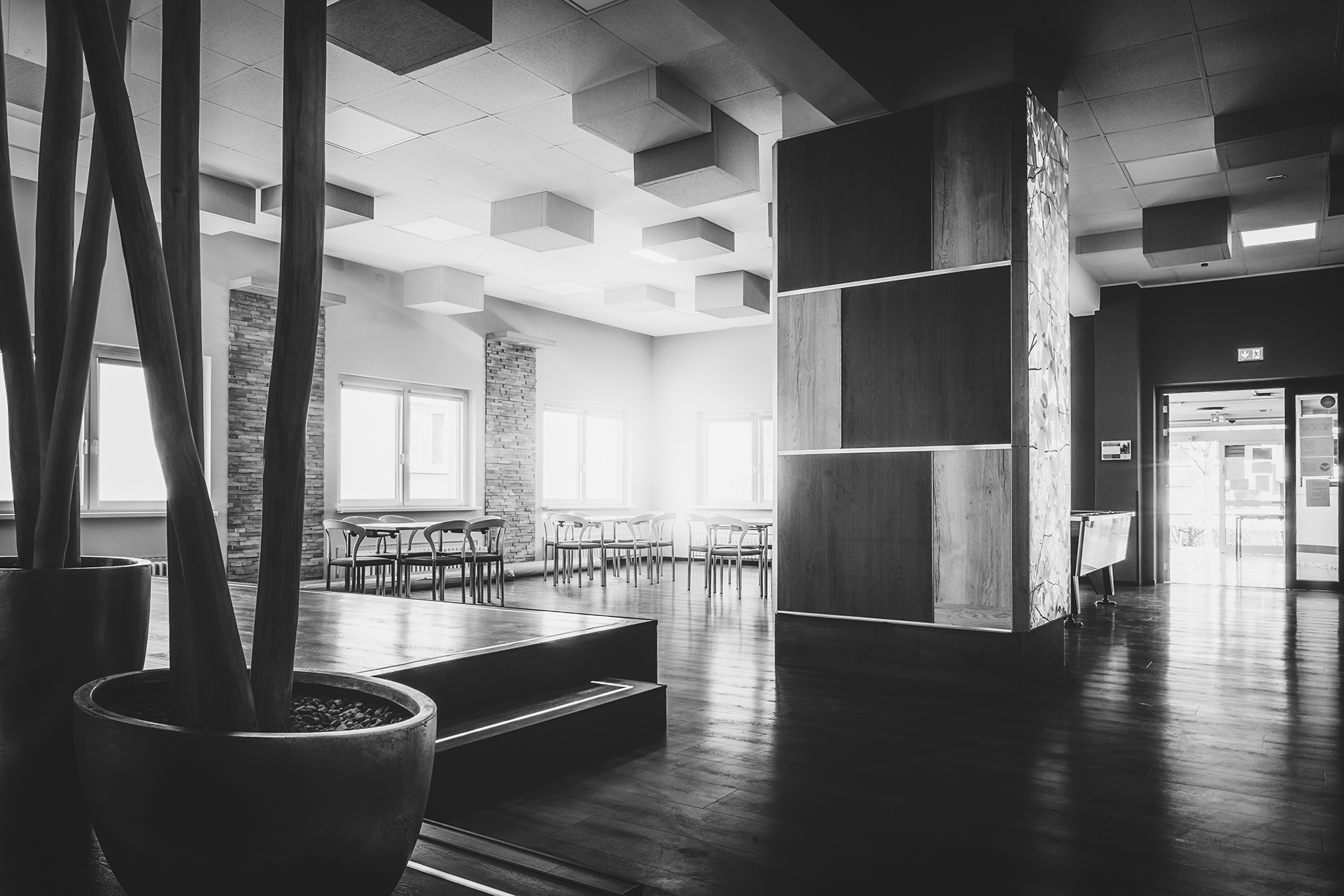 Business Photography