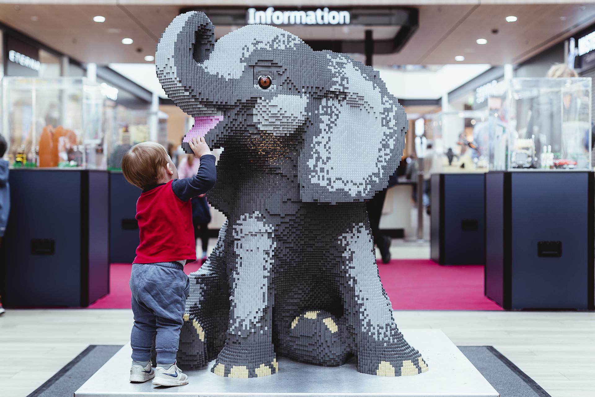 Business Photography